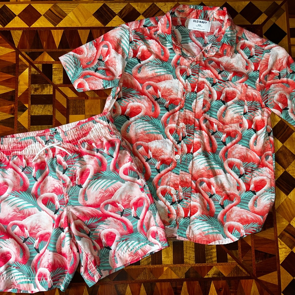 Old Navy Tropical Flamingo Shirt and Shorts